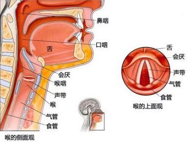 支原体性病感染眼睛_女性支原体阳性感染_支原体感染