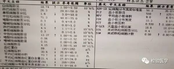 支原体感染_感染支原体衣原体_感染支原体的原因