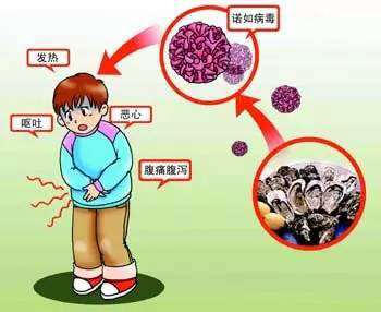 eb病毒和hiv病毒一样么_hiv病毒_hiv病毒