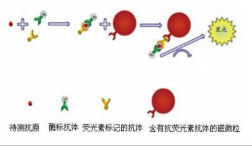 艾滋病检测方法及预防科普