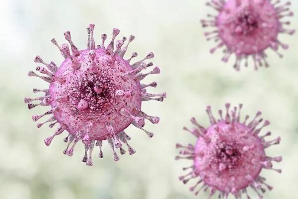 生殖器疱疹是性病吗