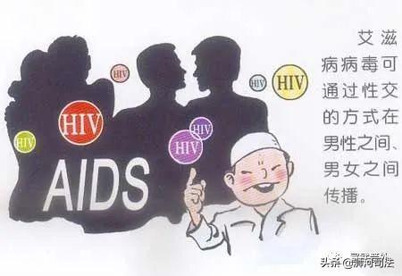 病毒是艾滋病的_hiv病毒是什么病毒_艾滋病毒