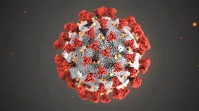> 目前流行的HIV的病毒分型