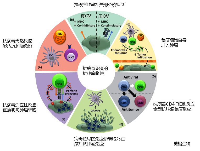 事实:全球第三例艾滋病治愈者出现？专家：还需长期观察