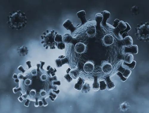hiv病毒阴性是什么_hiv病毒_igg hiv病毒