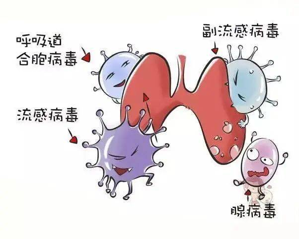 支原体妇科感染输万爽_男性感染支原体无症状_支原体感染