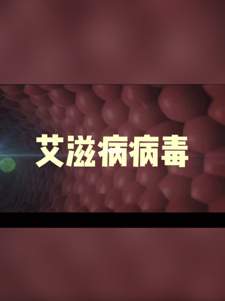 预防艾滋病的基本知识