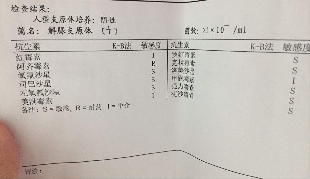 女性支原体阳性感染_支原体感染_感染支原体衣原体