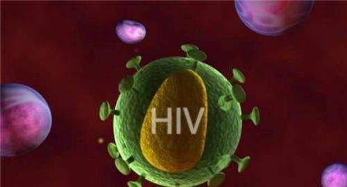 艾滋病病毒_艾滋病的病毒载量_艾滋感染需要的病毒量