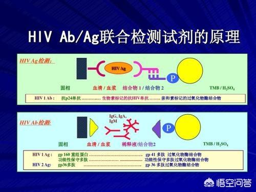 潜伏期又称什么期在艾滋病中叫什么_急性化脓扁桃体 艾滋_艾滋病急性期