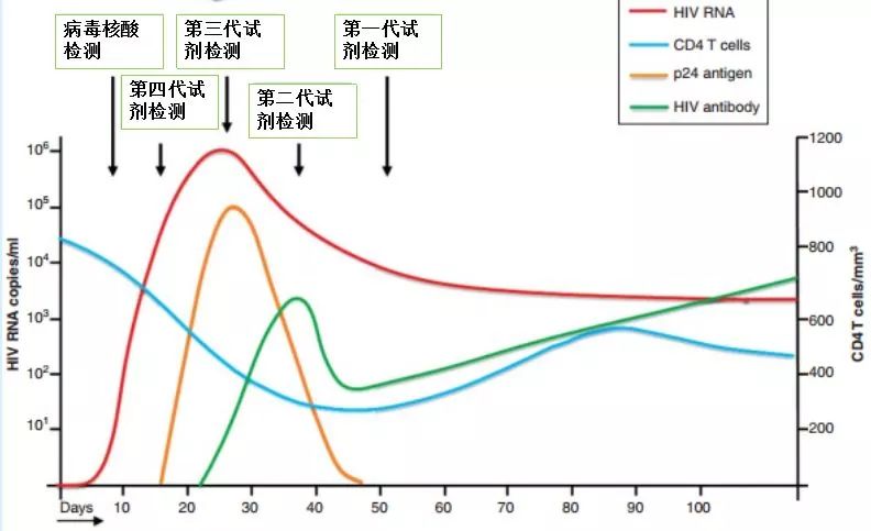 艾滋病急性期_急性化脓扁桃体 艾滋_潜伏期又称什么期在艾滋病中叫什么