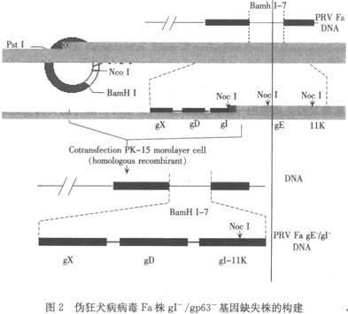 2018艾滋最新治愈信息_治愈艾滋病_丹麦艾滋治愈15人