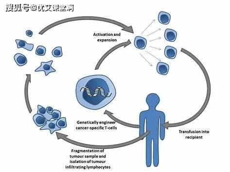 2018艾滋最新治愈信息_ub421可以治愈艾滋吗_治愈艾滋病