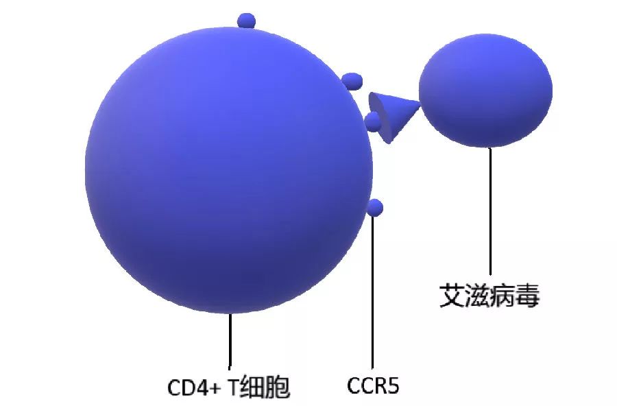 治愈艾滋病_能治愈艾滋病的水果_2018年艾滋功能性治愈