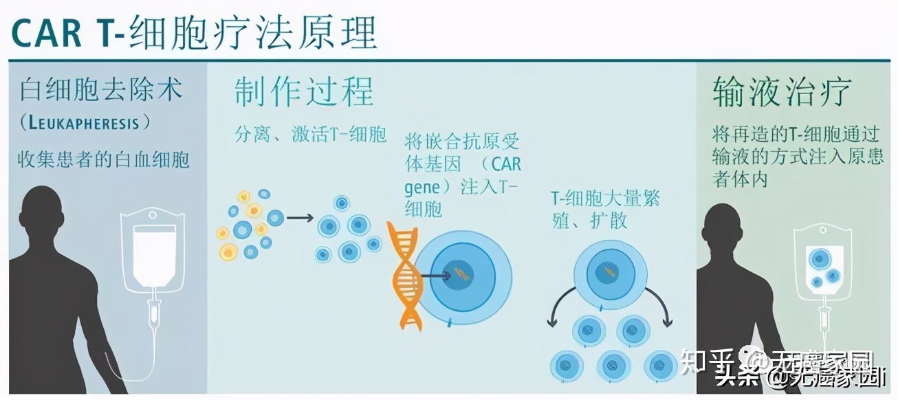 ub421可以治愈艾滋吗_能治愈艾滋病的水果_艾滋病治愈