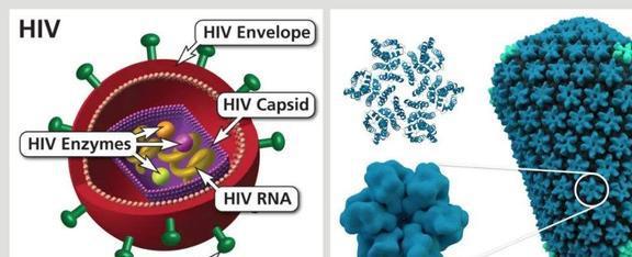 治愈艾滋病_艾滋治愈新闻_有治愈艾滋病的中药吗