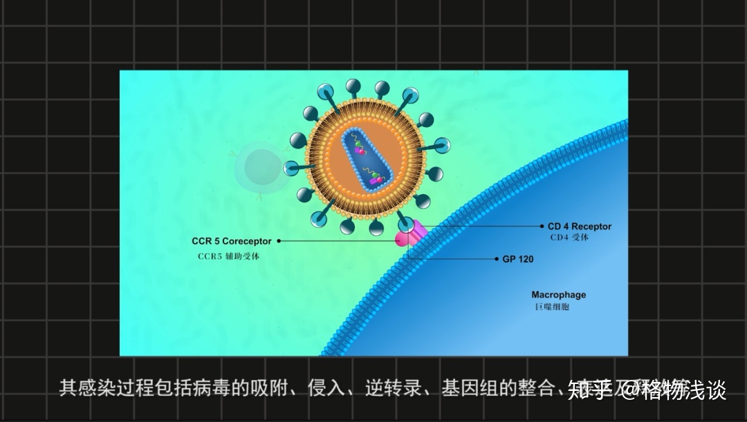 艾滋治愈新闻_有治愈艾滋病的中药吗_治愈艾滋病