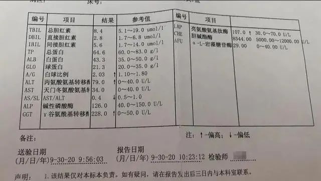 什么的自述作文什么的自述作文_艾滋病自述_艾滋病检测试剂盒