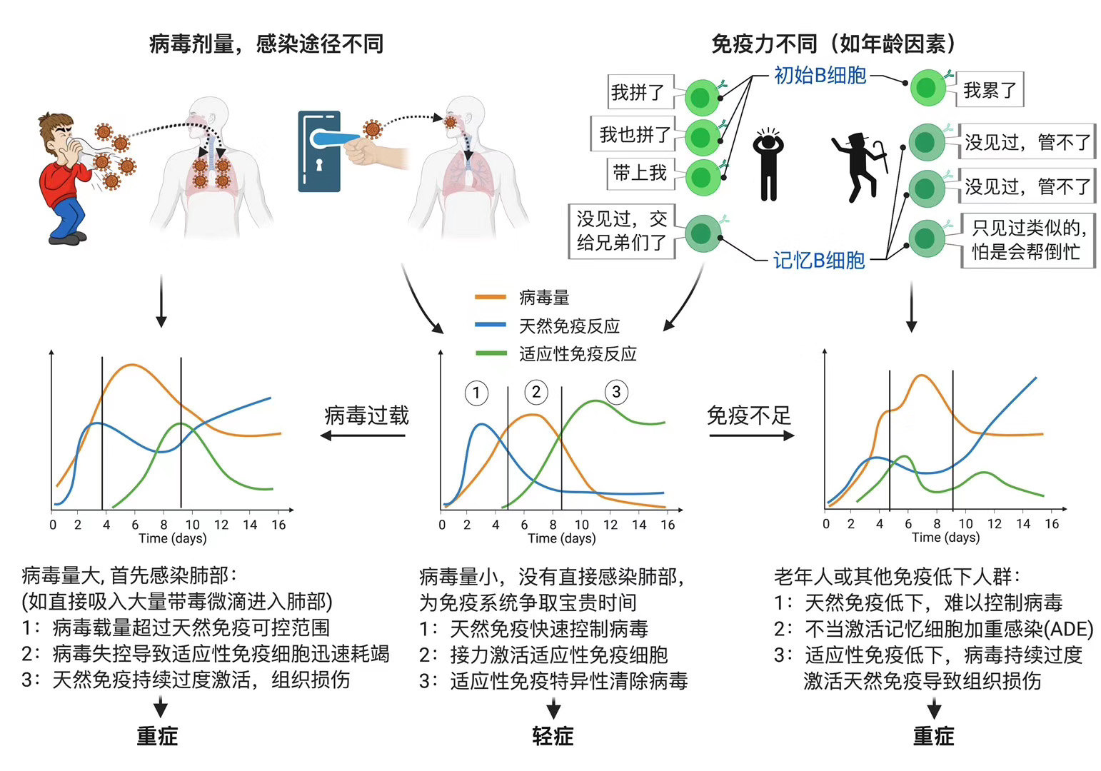 艾滋病急性期_急性化脓扁桃体 艾滋_修脚出血了,会感染艾滋和其她病吗