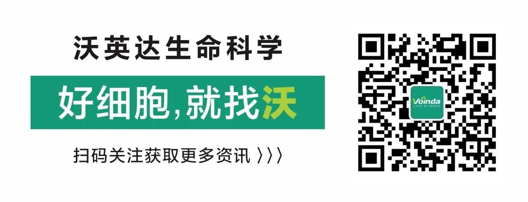 艾滋病急性期_急性化脓扁桃体 艾滋_修脚出血了,会感染艾滋和其她病吗