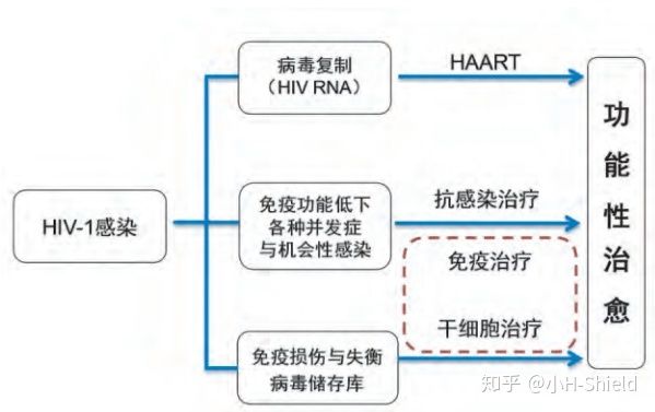 2018年艾滋功能性治愈_有治愈艾滋病的中药吗_艾滋病治愈