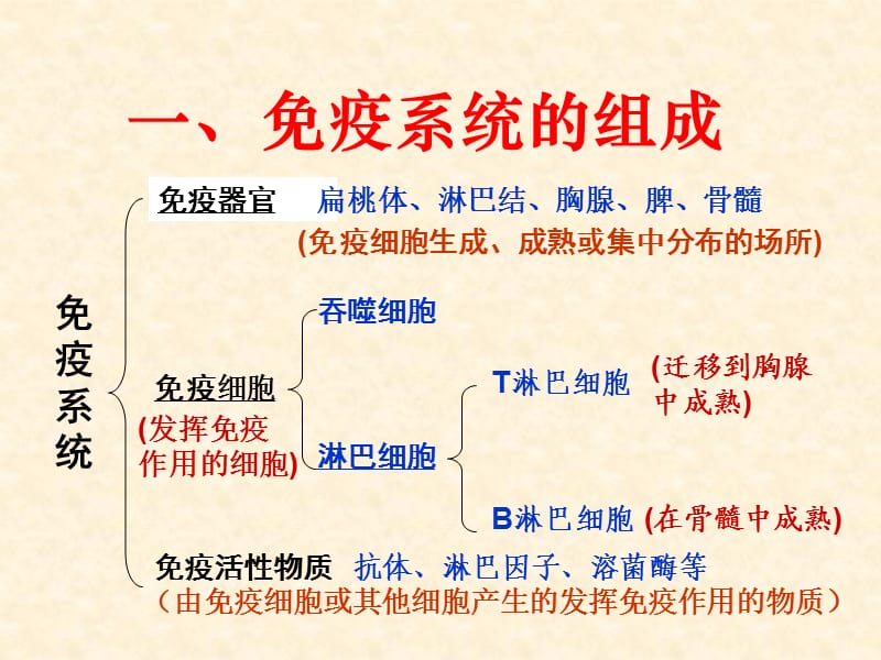 艾滋病感染初期症状图片_艾滋病的初期症状图片_艾滋病初期