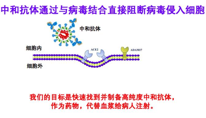 艾滋病治愈_艾滋何时治愈_艾滋治愈十一个月一针