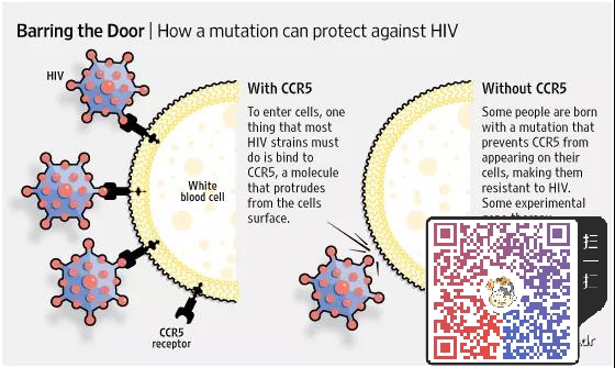 哪种方法更可能治愈HIV？