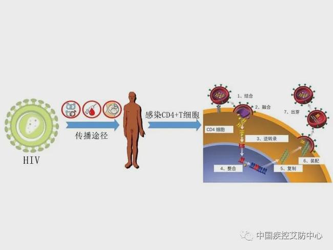 吸毒感染艾滋病的自述_艾滋病自述_第四代艾滋病检测试剂盒