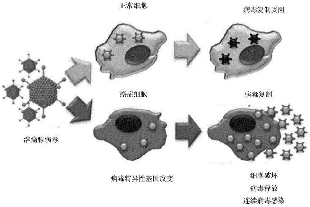 有治愈艾滋病的中药吗_艾滋治愈十一个月一针_艾滋病治愈