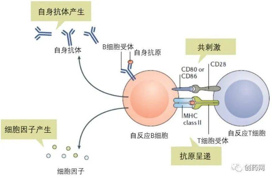 治愈艾滋病_艾滋能不能治愈_外国功能性治愈艾滋