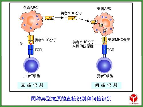 艾滋病治愈_ub421可以治愈艾滋吗_西班牙功能性治愈艾滋