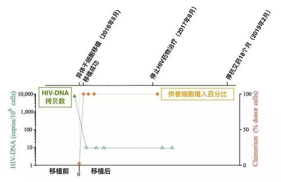 伦敦病人的治疗过程。图片来源：参考文献[2]，谢nini汉化