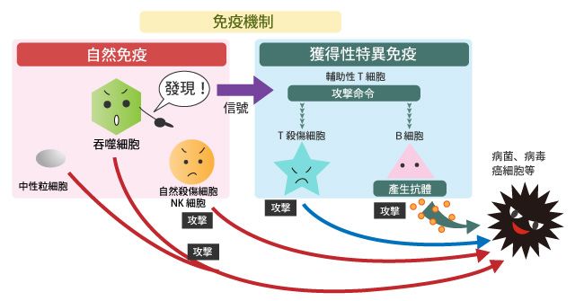 艾滋病自述_艾滋感染者自述_患艾滋病者潜伏期症状自述