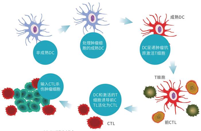 治愈艾滋病_王福生治愈艾滋_西班牙功能性治愈艾滋