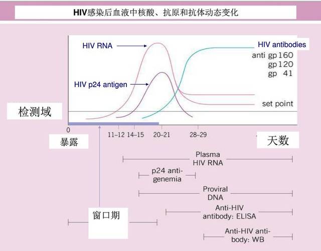 艾滋病急性期_艾滋咽喉炎是急性还是慢性的症状_艾滋急性期会全身瘙痒吗