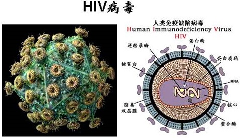 艾滋病急性期