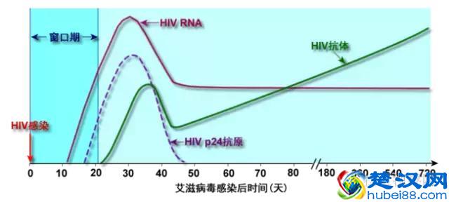 艾滋病初期_艾滋病的初期症状及传播途径_艾滋病的初期皮疹特点