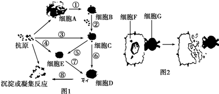 西班牙功能性治愈艾滋_王福生治愈艾滋_治愈艾滋病