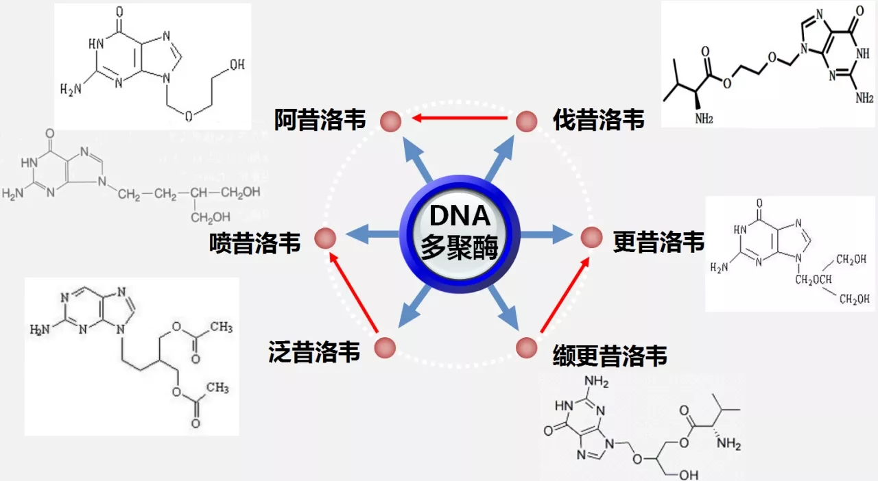 2018艾滋最新治愈信息_艾滋治愈研究_治愈艾滋病