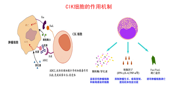 治愈艾滋病_能治愈艾滋病的水果_艾滋治愈十一个月一针