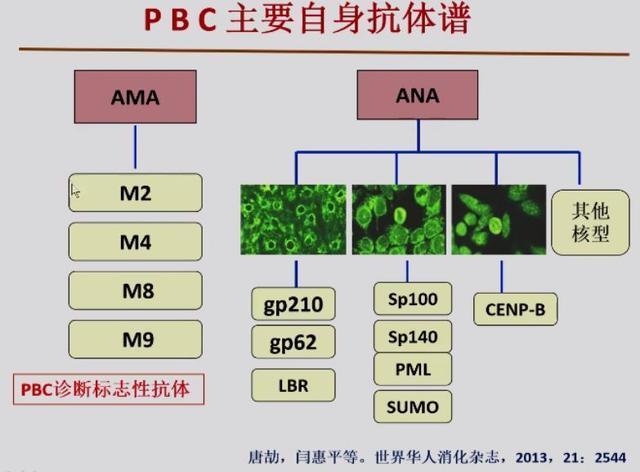 艾滋病人自述_艾滋感染者自述_躁狂症病人自述