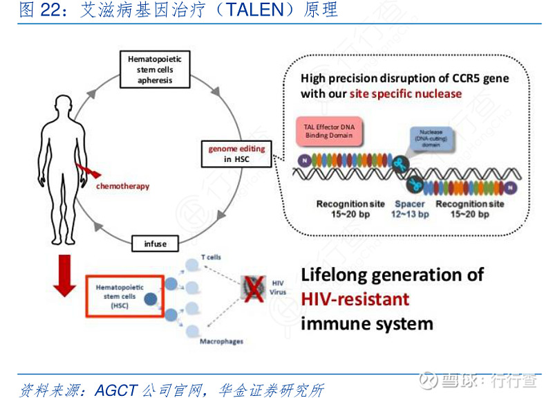 2017艾滋治愈型疫苗_艾滋治愈_治愈艾滋病