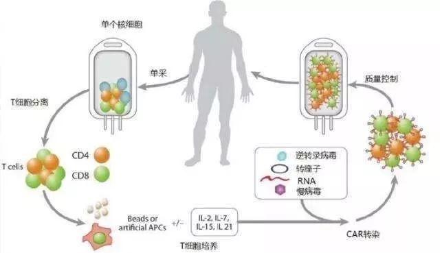 艾滋治愈十一个月一针_西班牙功能性治愈艾滋_治愈艾滋病