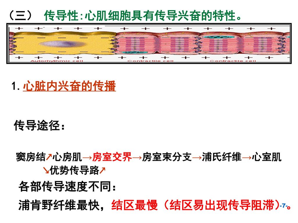 艾滋急性_急性艾滋病感染必有症状_艾滋病急性期