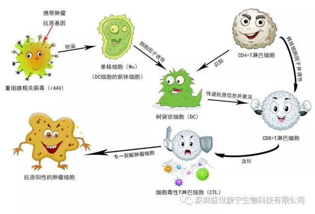 艾滋功能性治愈_治愈艾滋病_中国治愈艾滋最新突破