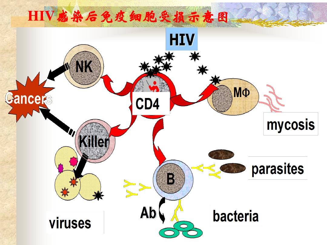 能治愈艾滋病的水果_有治愈艾滋病的中药吗_治愈艾滋病