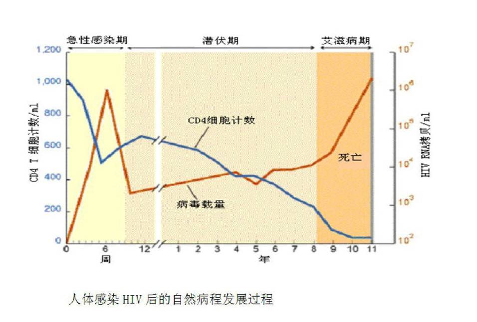 艾滋病感染初期症状_艾滋病初期_艾滋病感染初期症状图片