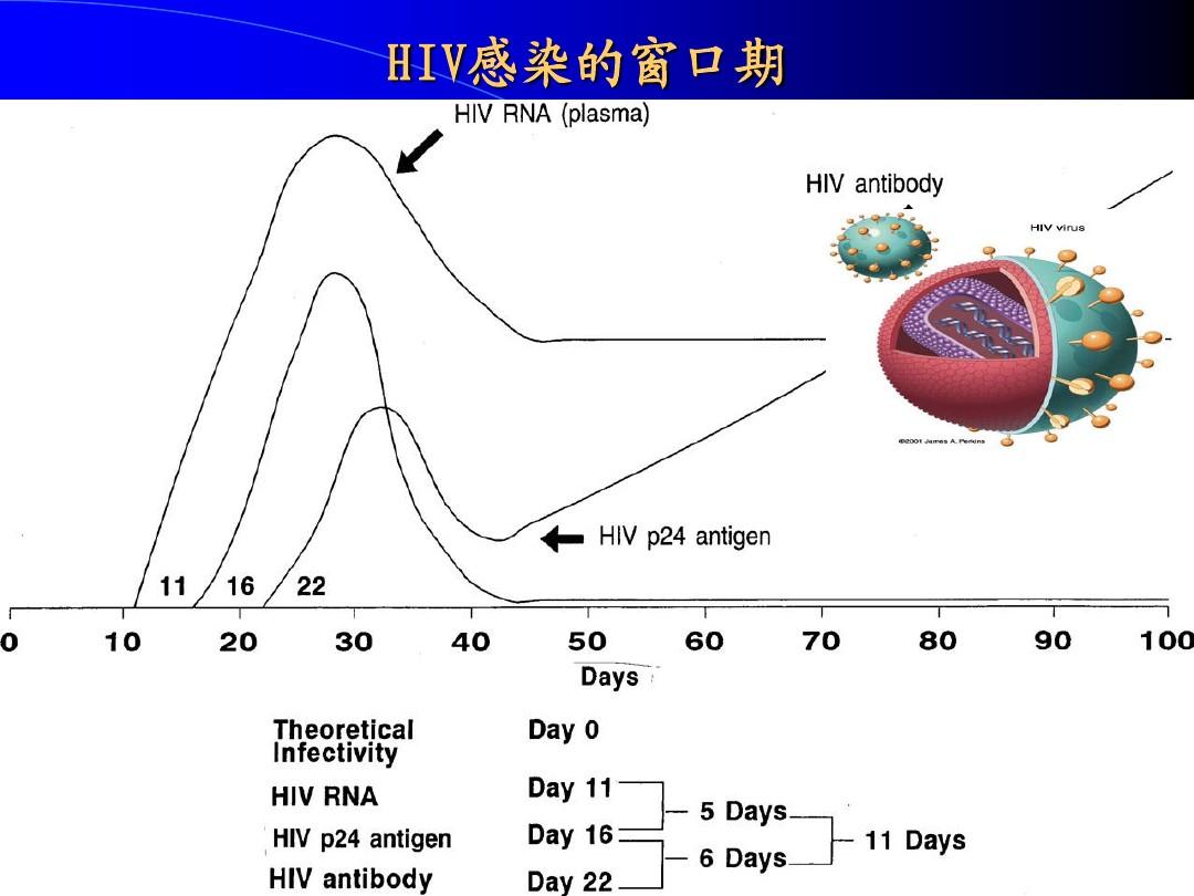 艾滋病的哨点监测期是多久_艾滋病急性期_乙肝和艾滋那个病可怕