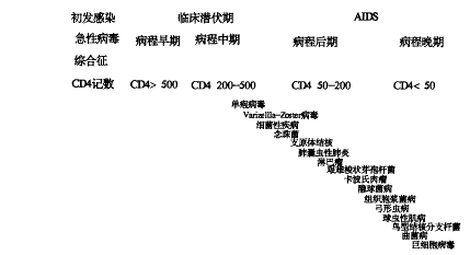 艾滋病初期_女性得艾滋病的初期症状_艾滋病感染初期症状